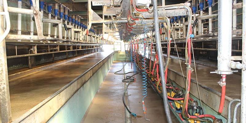 Dairy farm facilities