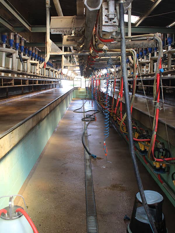 Shropshire dairy farm