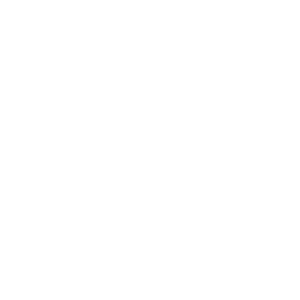 Wellies icon